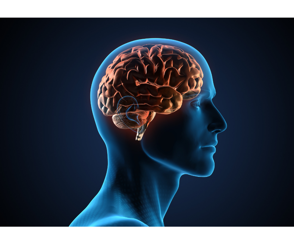 Emotional Intelligence Emotional Intelligence